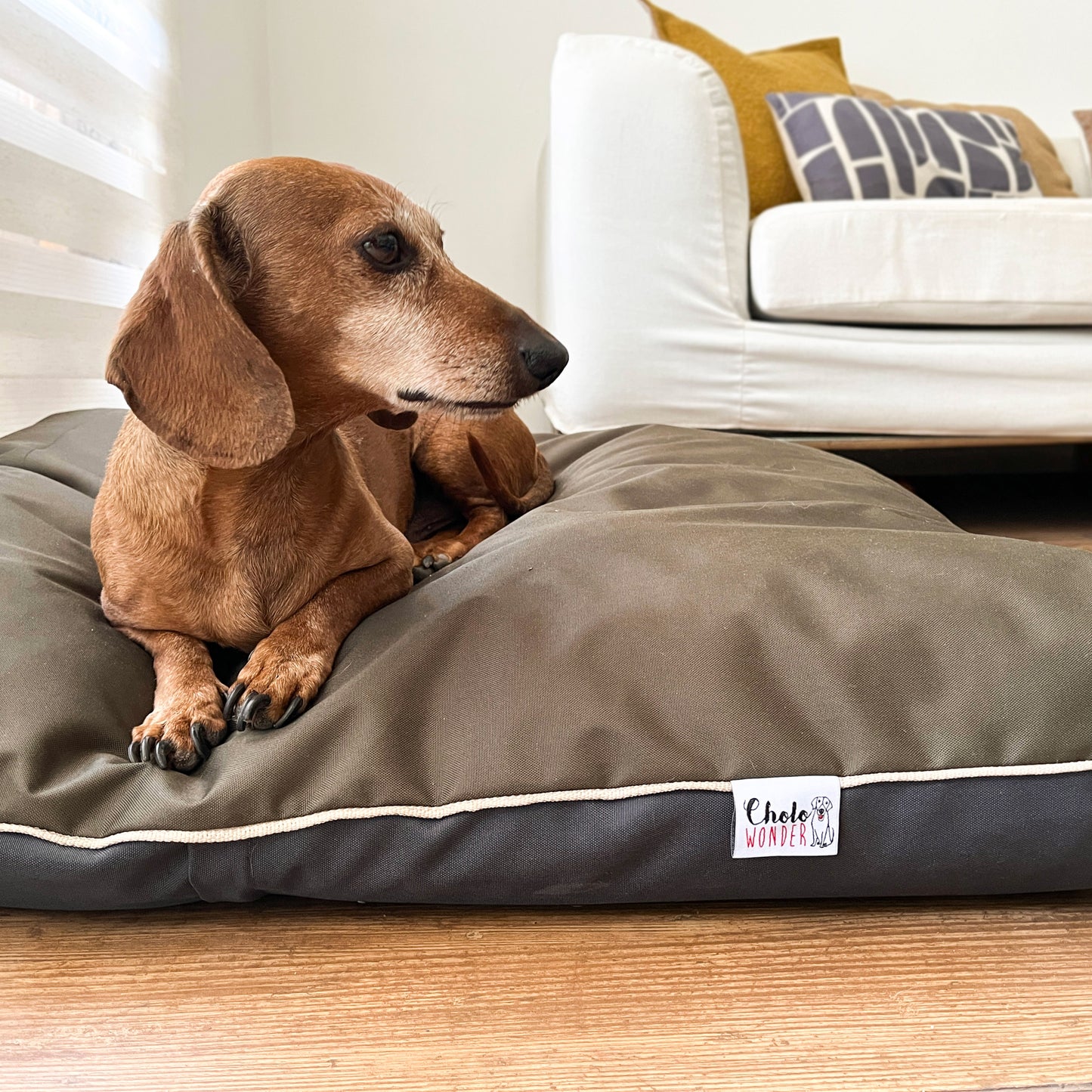 Cama impermeable outdoor bicolor