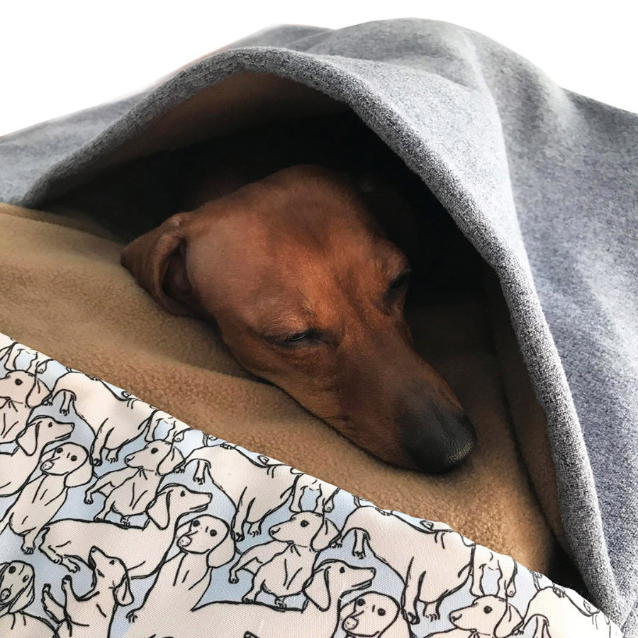Saco de dormir térmico mascotas beige daschund 65x65