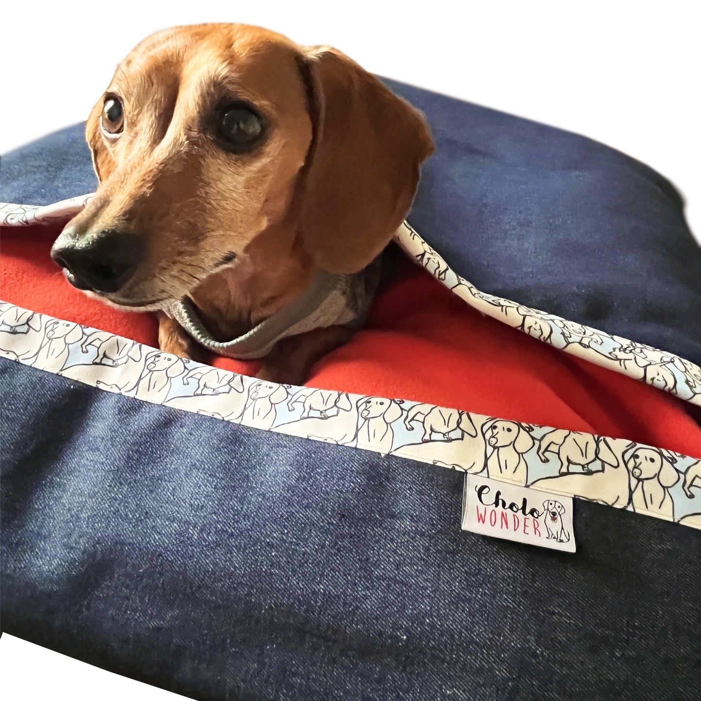 Saco de dormir denim azul ilustración perro salchicha 74X70 cms